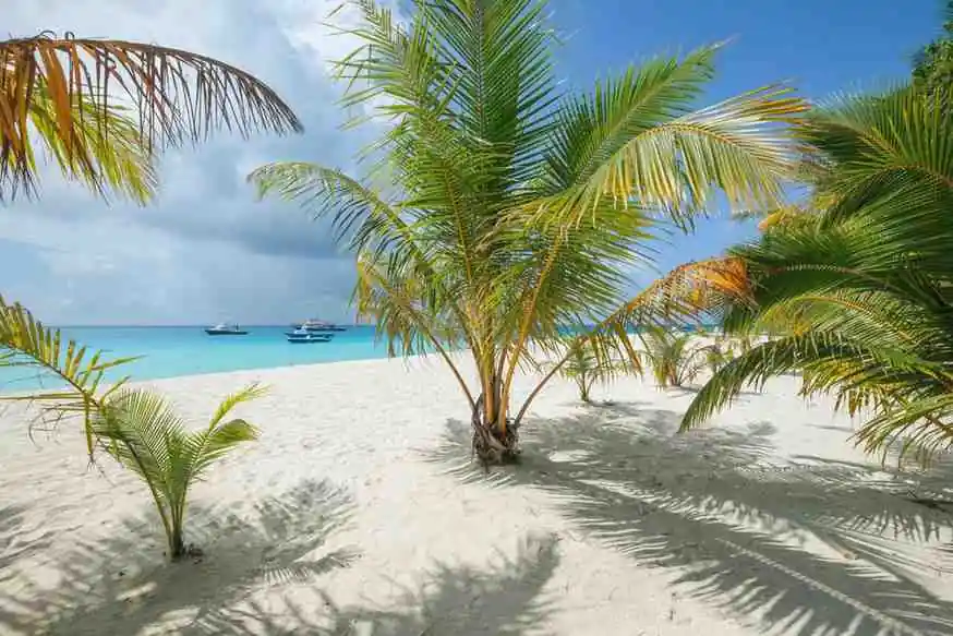 Fulidhoo Island Guide: Shark & Stingray Beach In Maldives